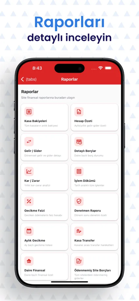 Net Yönetim Yönetici uygulaması — kar/zarar ve denetmen raporları ekranı