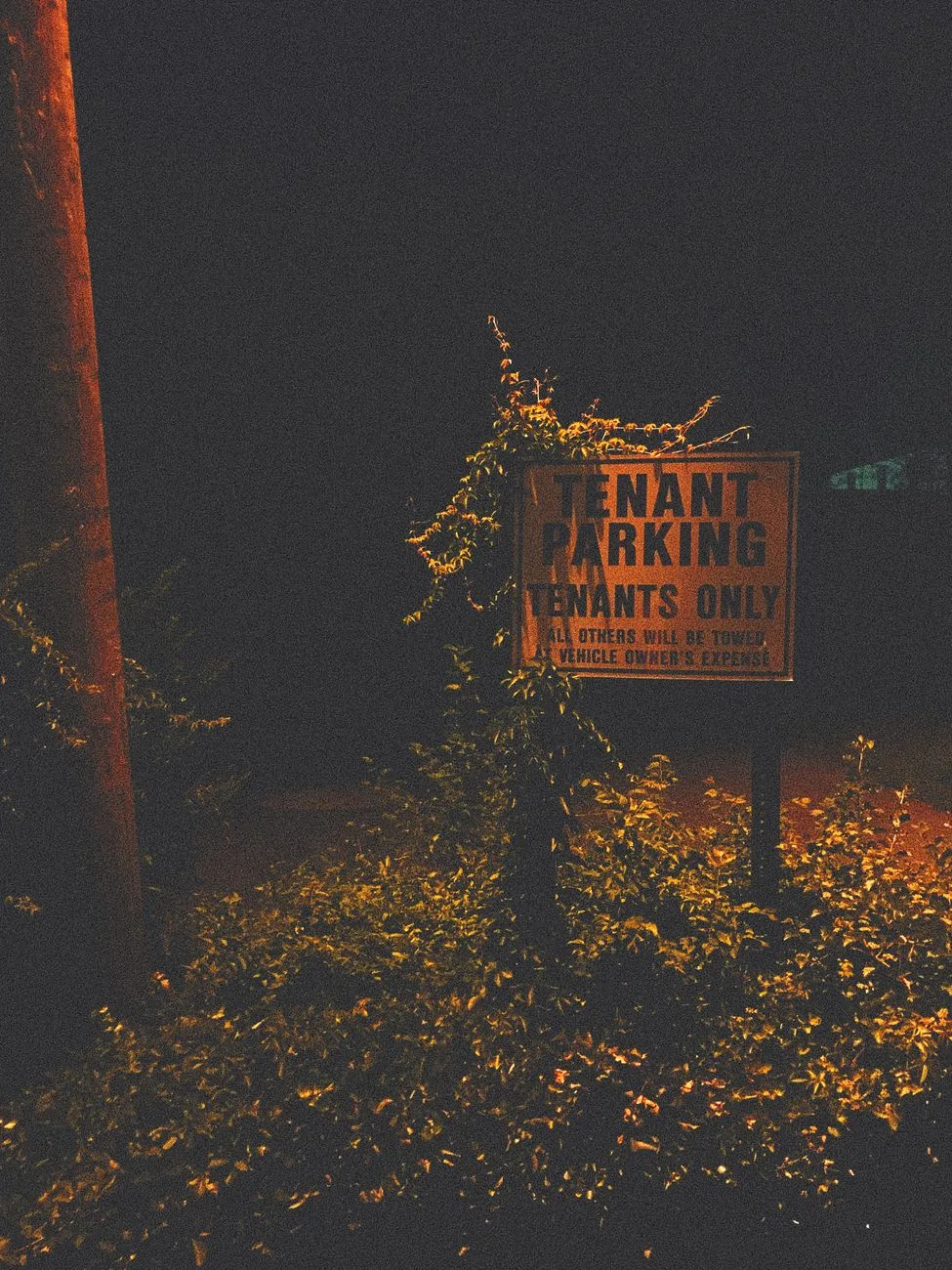 kiracı misafir otopark yasağı